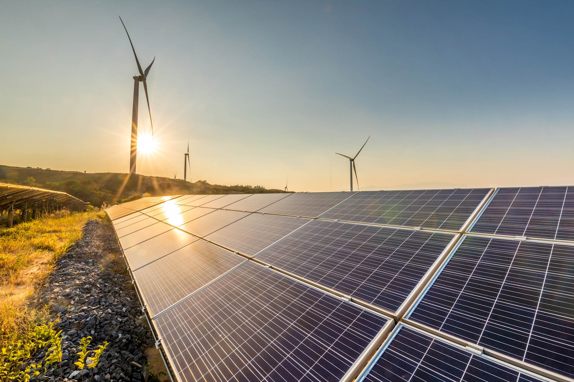 Solar energy panels in front of a solar farm, with the sun rising behind them