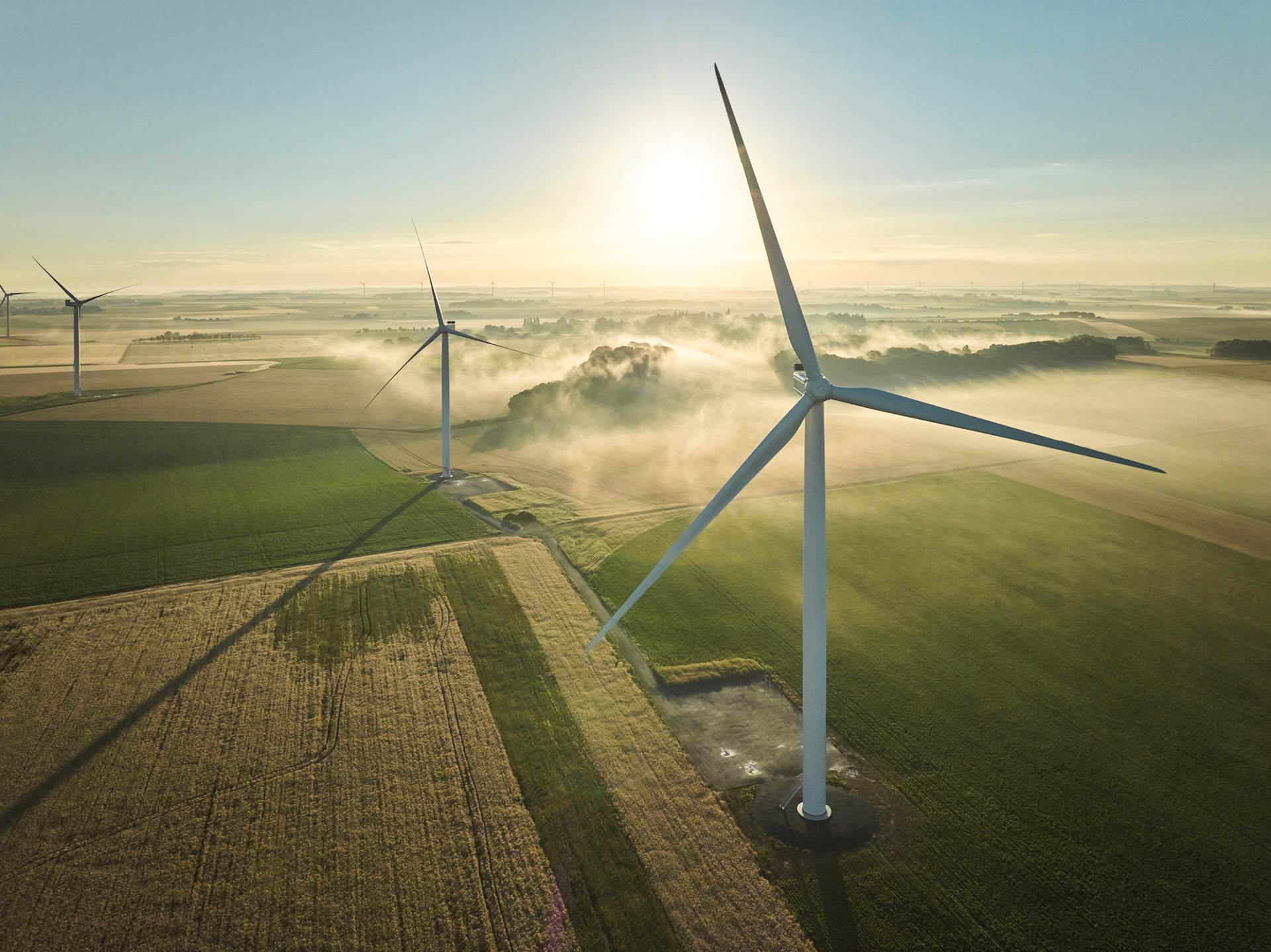 Wind turbine farm in an agricultural landscape, with fog rolling over the land as the sun rises